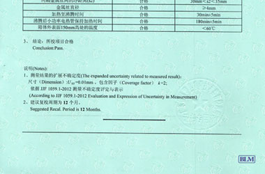 热工麻豆视频网站在线证书报告结果页图片